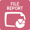 File Report